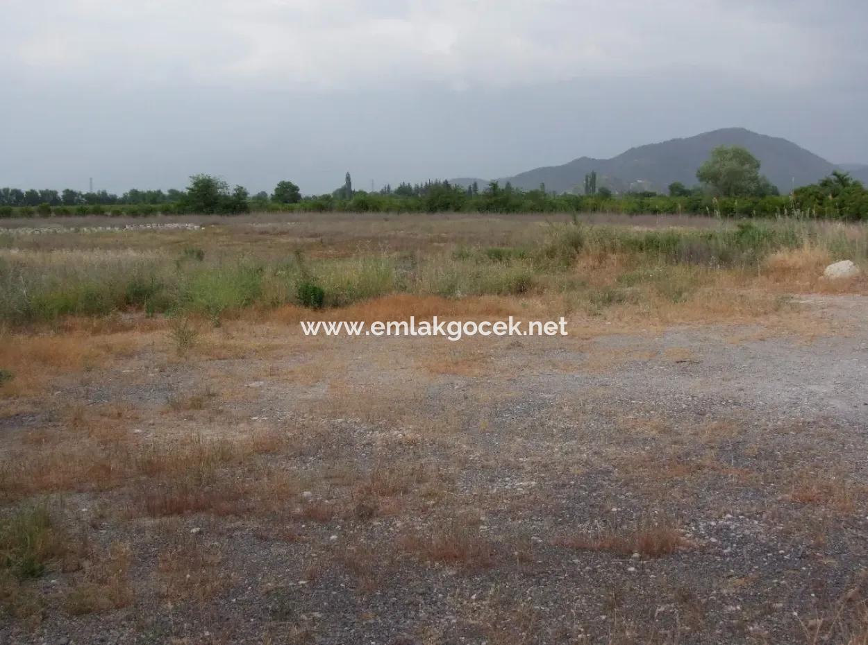 Dalyan Satılık Ticari Arsa Dalyan Anayol Üzerinde 17,805M2 Satılık Kelepir Arsa