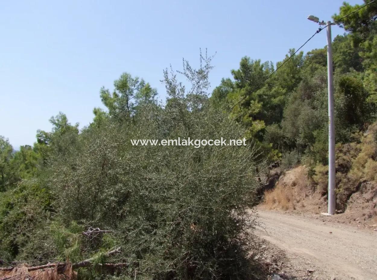 Sarıgerme Satılık Arsa Full Deniz Manzaralı Satılık Arsa