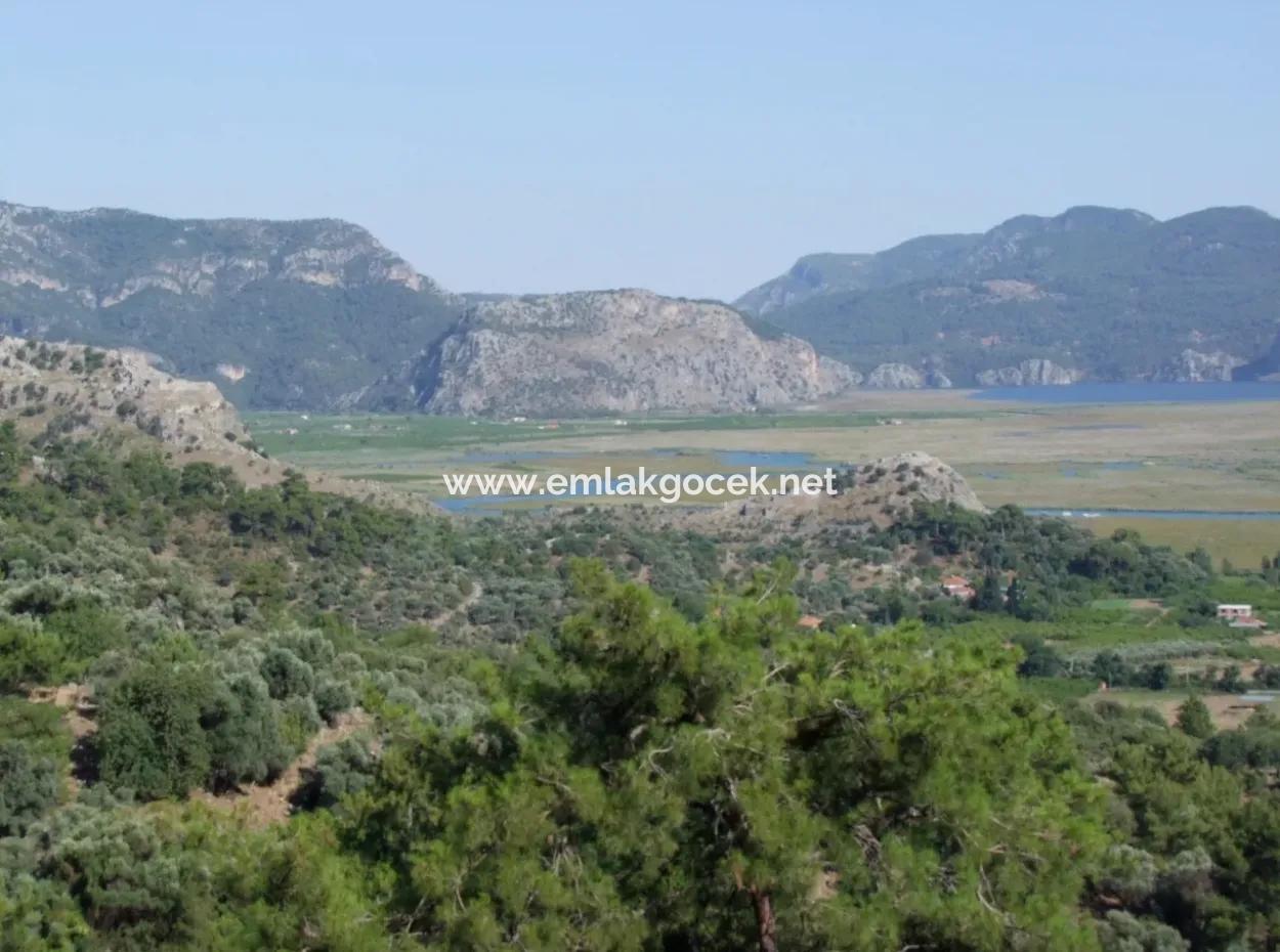 Çandır Satılık Arsa Deniz Manzaralı 6265 M2 Satılık Arsa