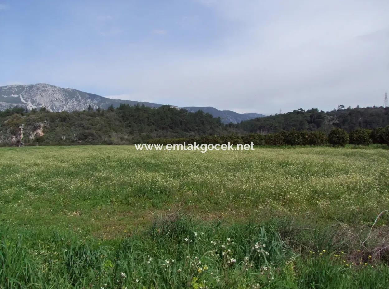 Akyaka Gökçede Satılık Arazi Denize Yakın Çiftlik İçin 21625M2 Satılık Tarla Yatırımlık Satılık Ars