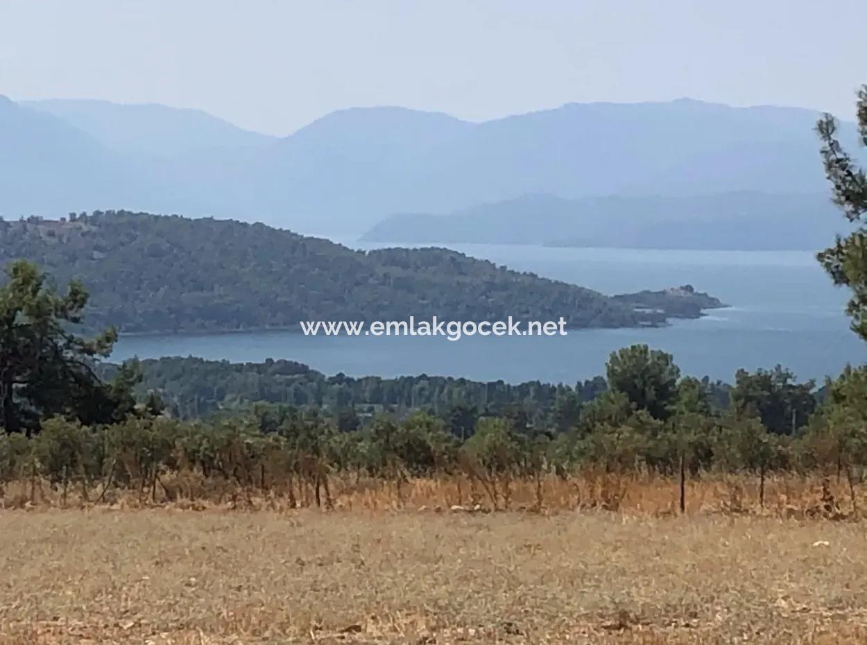 Köyceğiz Zeytinalanı'nda Göl Manzaralı 11.227M2 Satılık Arsa