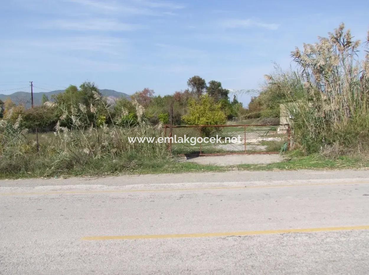 Güzelyurt Da Satılık Arsa Ana Yola Sıfır 5515M2 Satılık Arsa