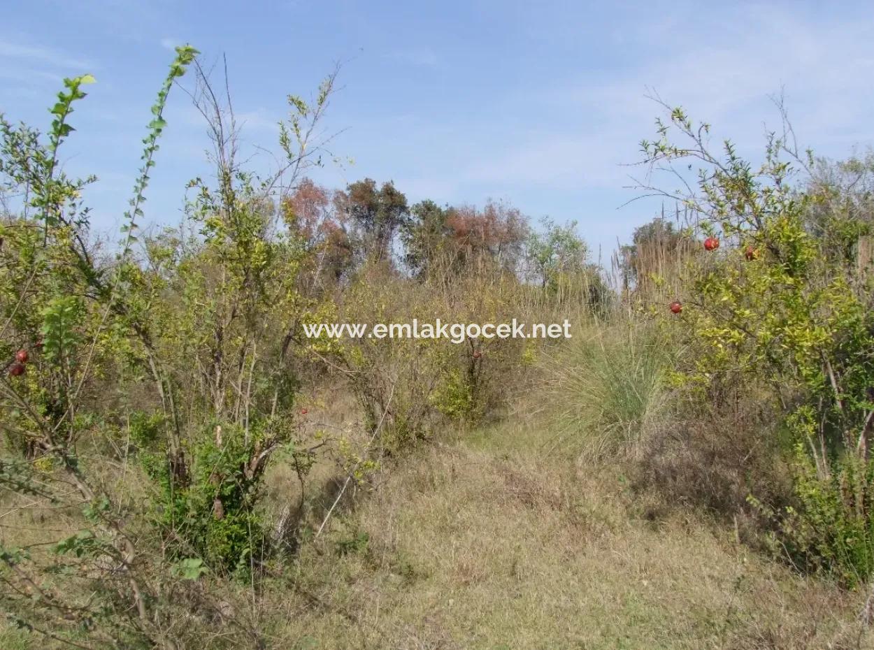 Güzelyurt Satılık Arsa  Köy Yerleşik 6670M2 Satılık Arazi