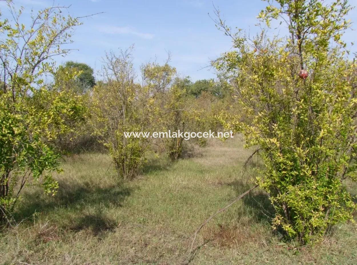 Güzelyurt Satılık Arsa  Köy Yerleşik 6670M2 Satılık Arazi