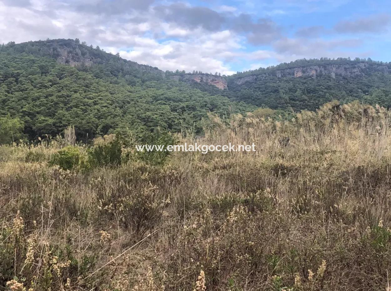 Çamlı Kanala Sıfır Satılık Arazi Arsa Çamlıda Deniz Manzaralı 28768M2 Satılık Arsa