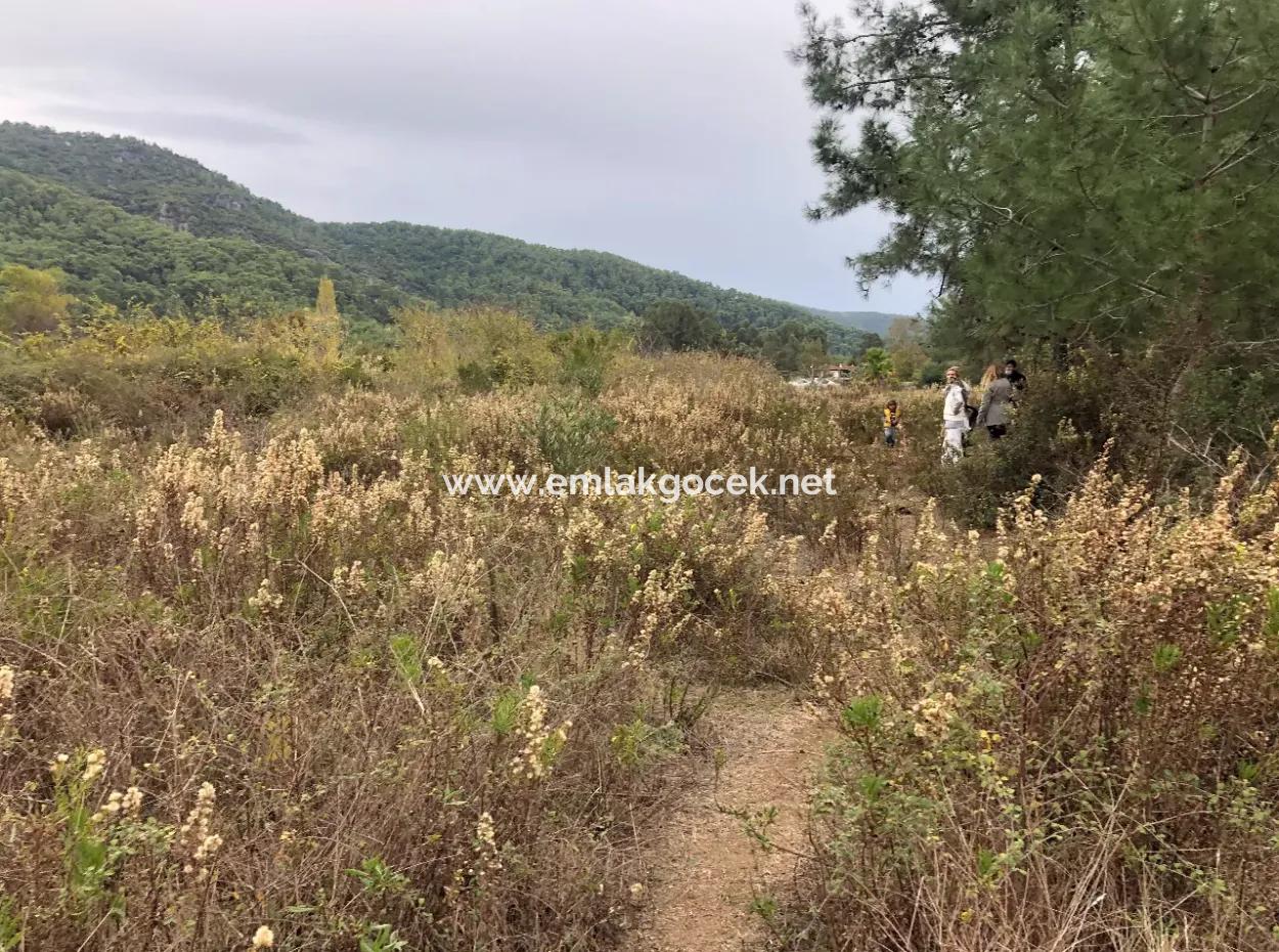 Çamlı Kanala Sıfır Satılık Arazi Arsa Çamlıda Deniz Manzaralı 28768M2 Satılık Arsa