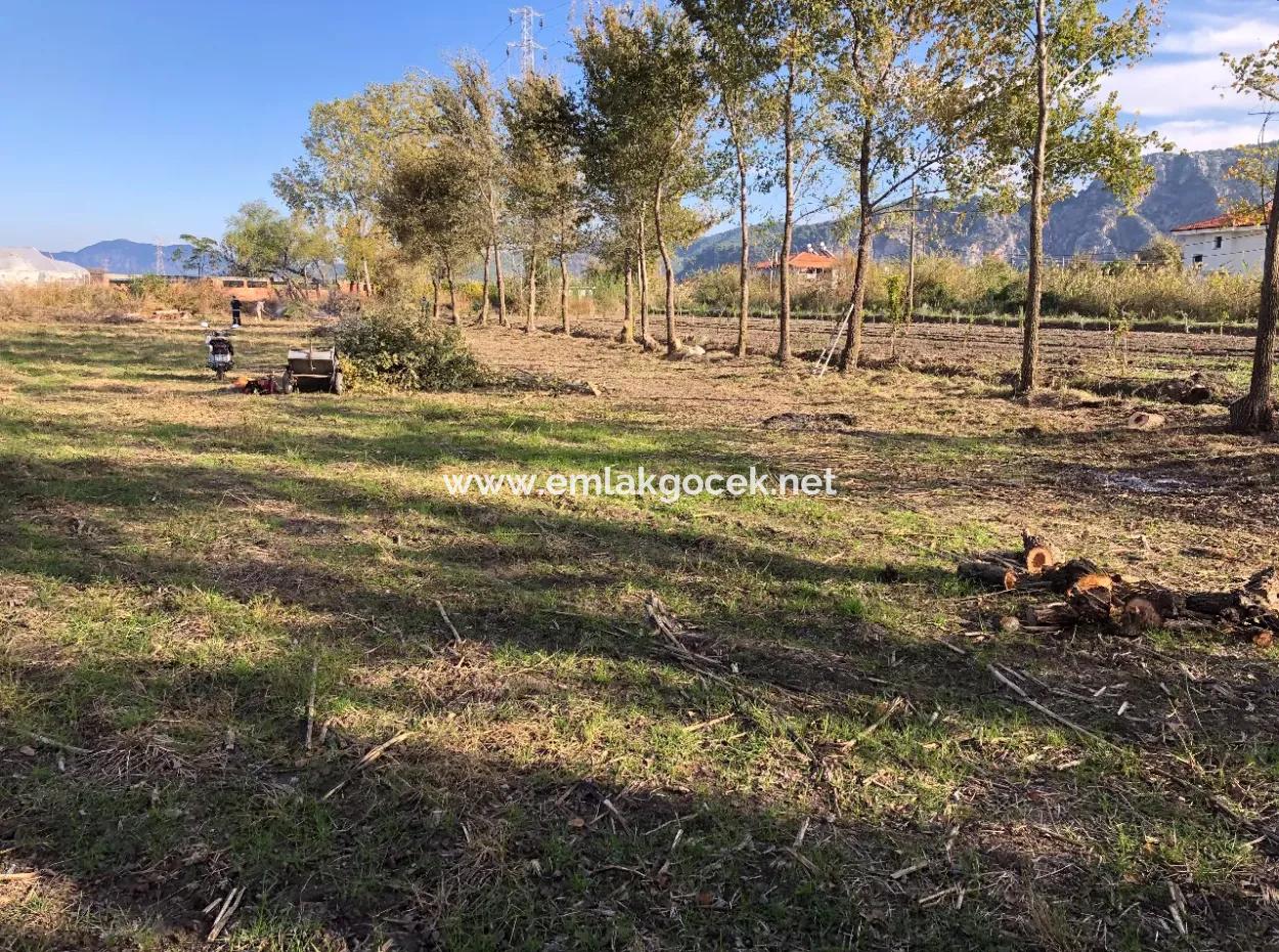 Dalyan'da 2540M2 Satılık Arsa