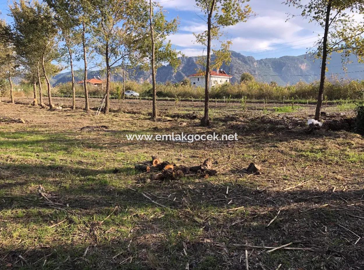 Dalyan'da 2540M2 Satılık Arsa