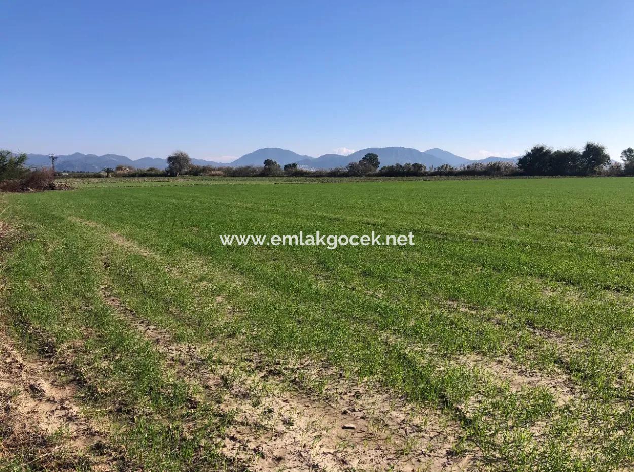 Sarıgermede Satılık Arsa Deniz Manzaralı 30,000M2 Satılık Arsa