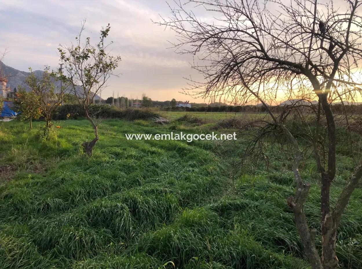 Okçular Satılık Arsa 4707M2 Satılık Arsa