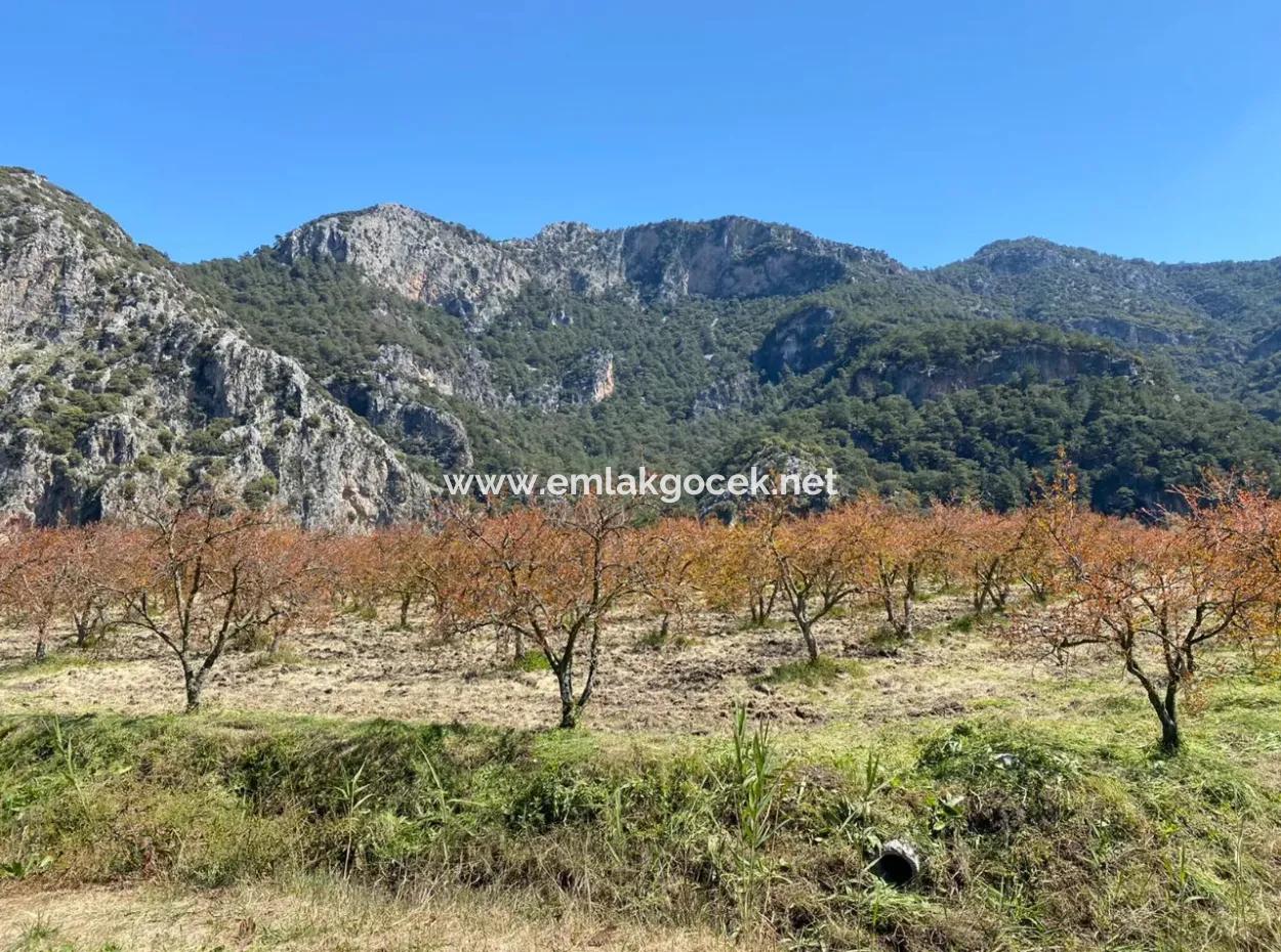 Dalyan'da 9310M2 Satılık Arsa