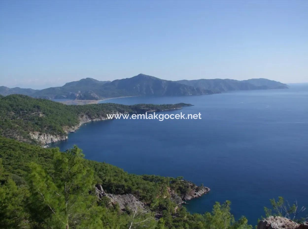 Ekincik Çandır Arasın'da Deniz Manzaralı Kelepir Emlak Satılık Arsa