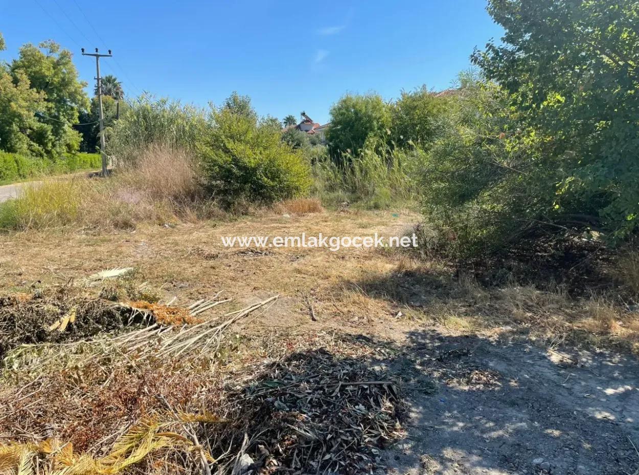 Dalyan Gülpınar Köşebaşın Da  1000M2 Satılık Arsa