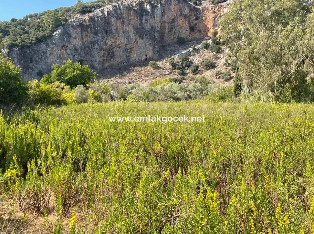 Çandır Kanala Sıfır 2765M2 Satılık Müstakil Ev