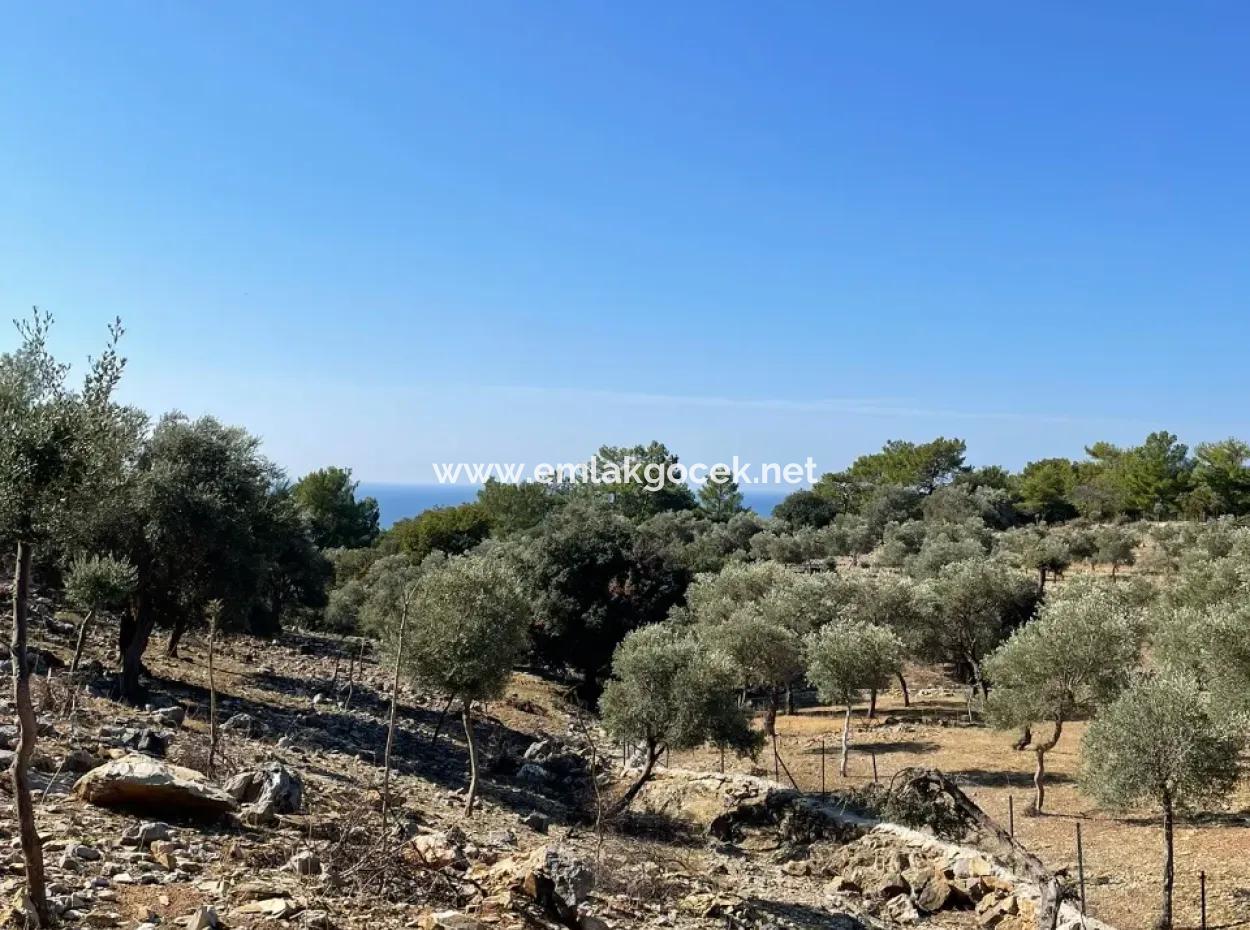 Çandır Deniz Manzaralı Satılık Tarla Arsa