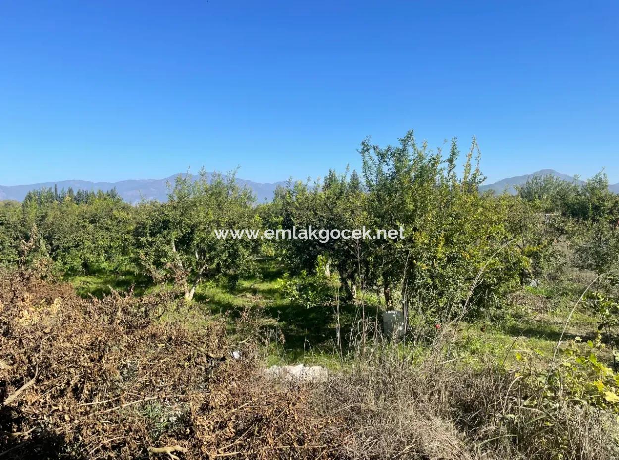 Dalyan'da Satılık 2223M2 Tarla