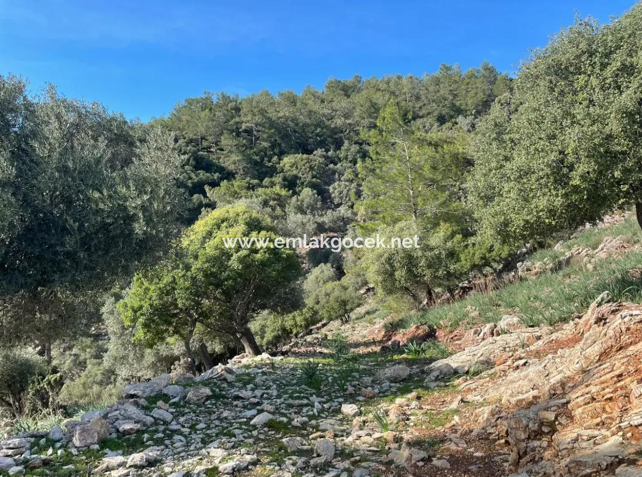 Ekincik'de Full Deniz Manzaralı Satılık 8,900M2 Tarla