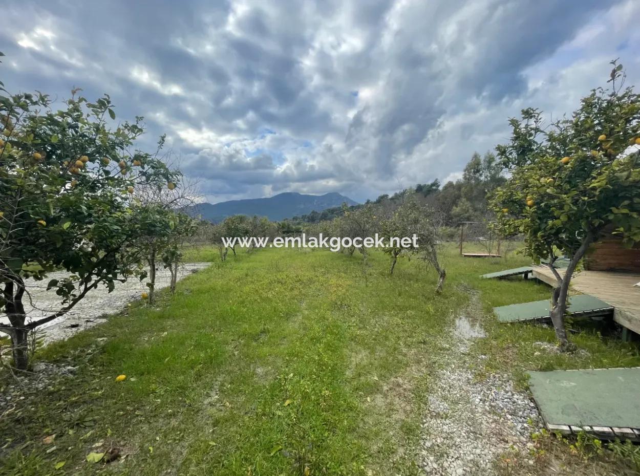 Dalyan Satılık Butik Otel 11.000M2 Arsa İçinde Satılık Bungolevler