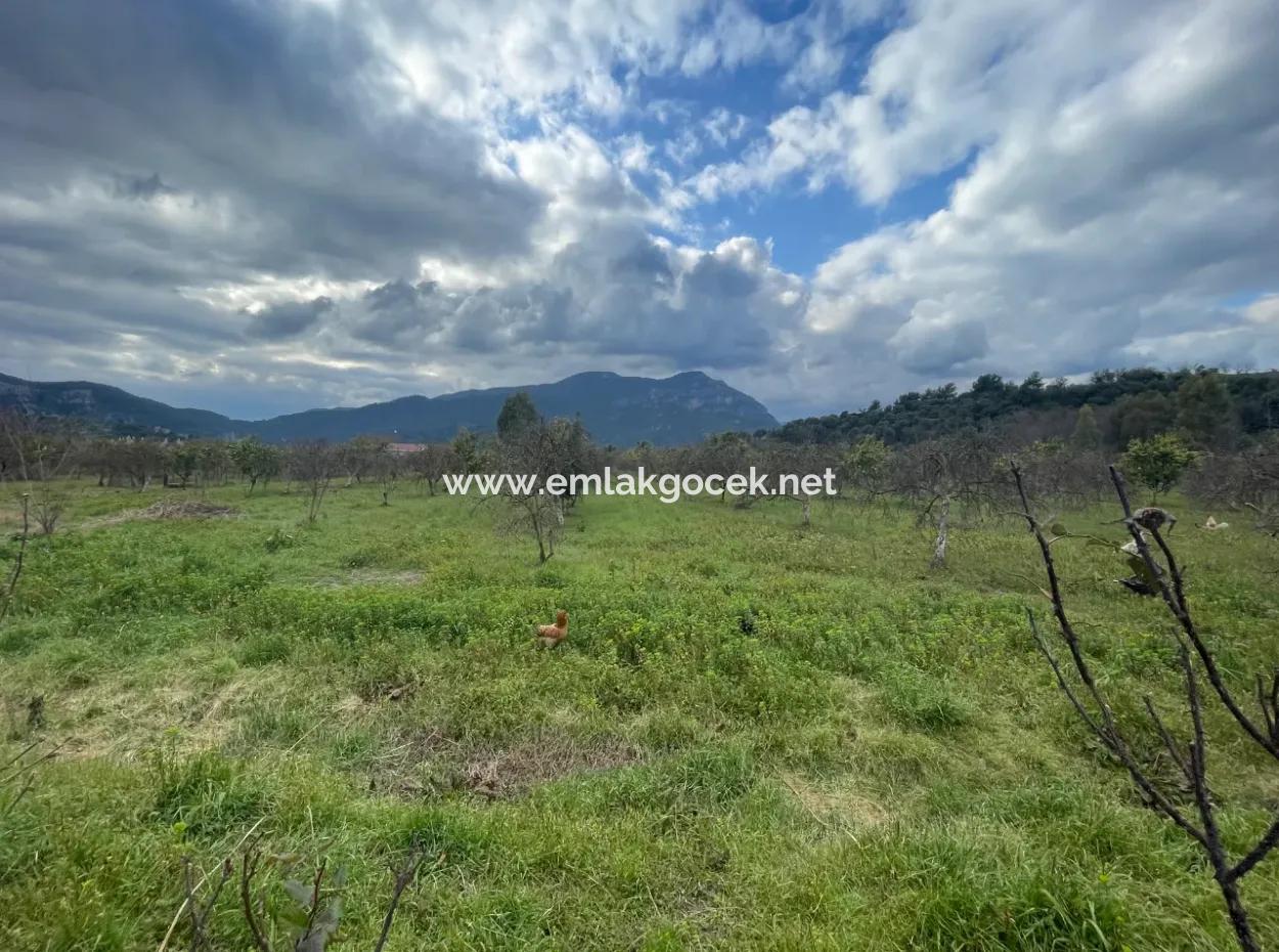 Dalyan Satılık Butik Otel 11.000M2 Arsa İçinde Satılık Bungolevler