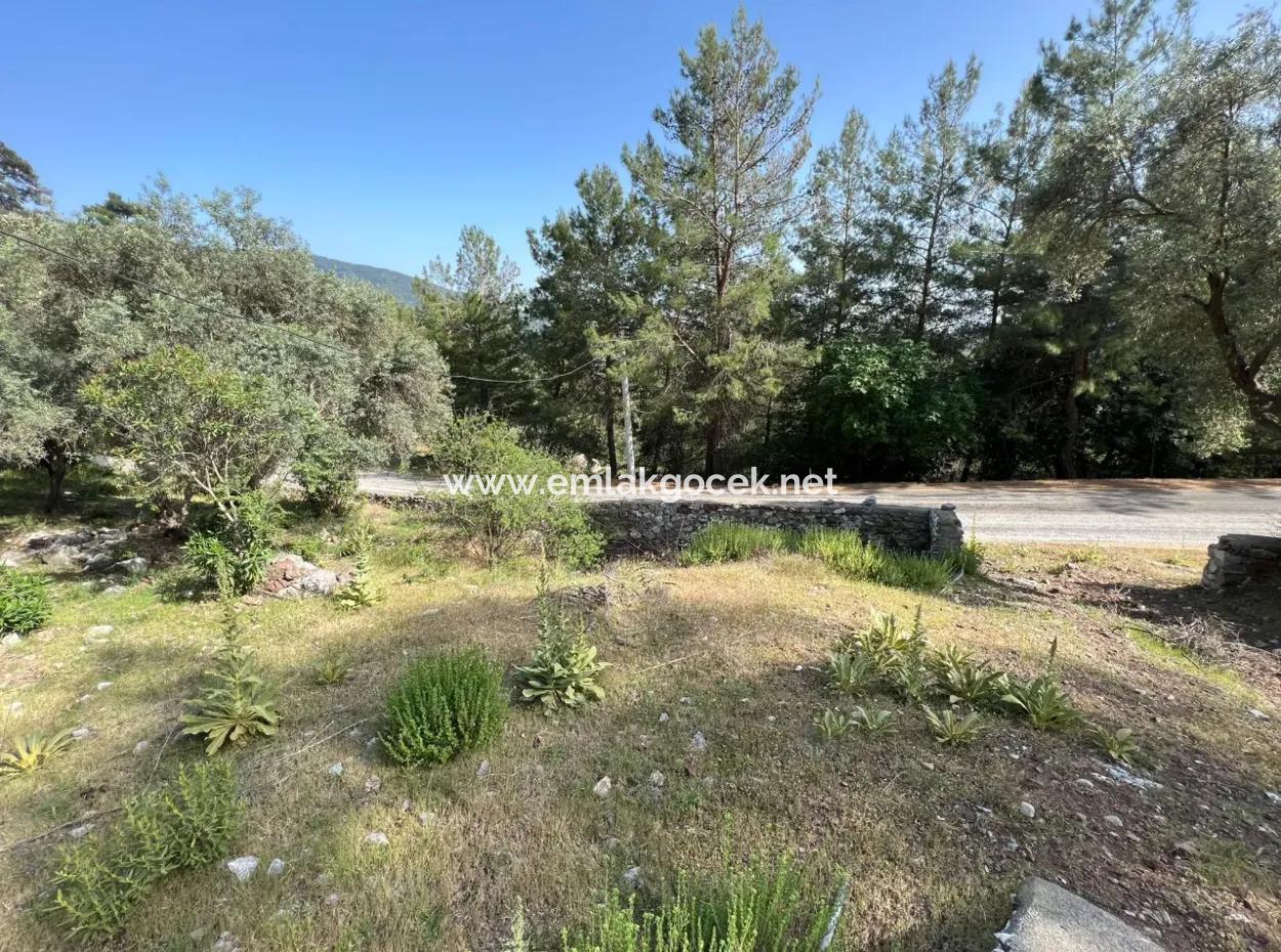 Ekincik Deniz Manzaralı Satılık Müstakil Ev