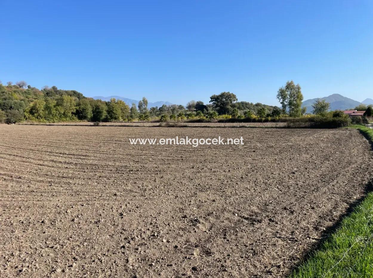 Eskiköyde Dalyan Yakın 6254M2 Satılık Tarla