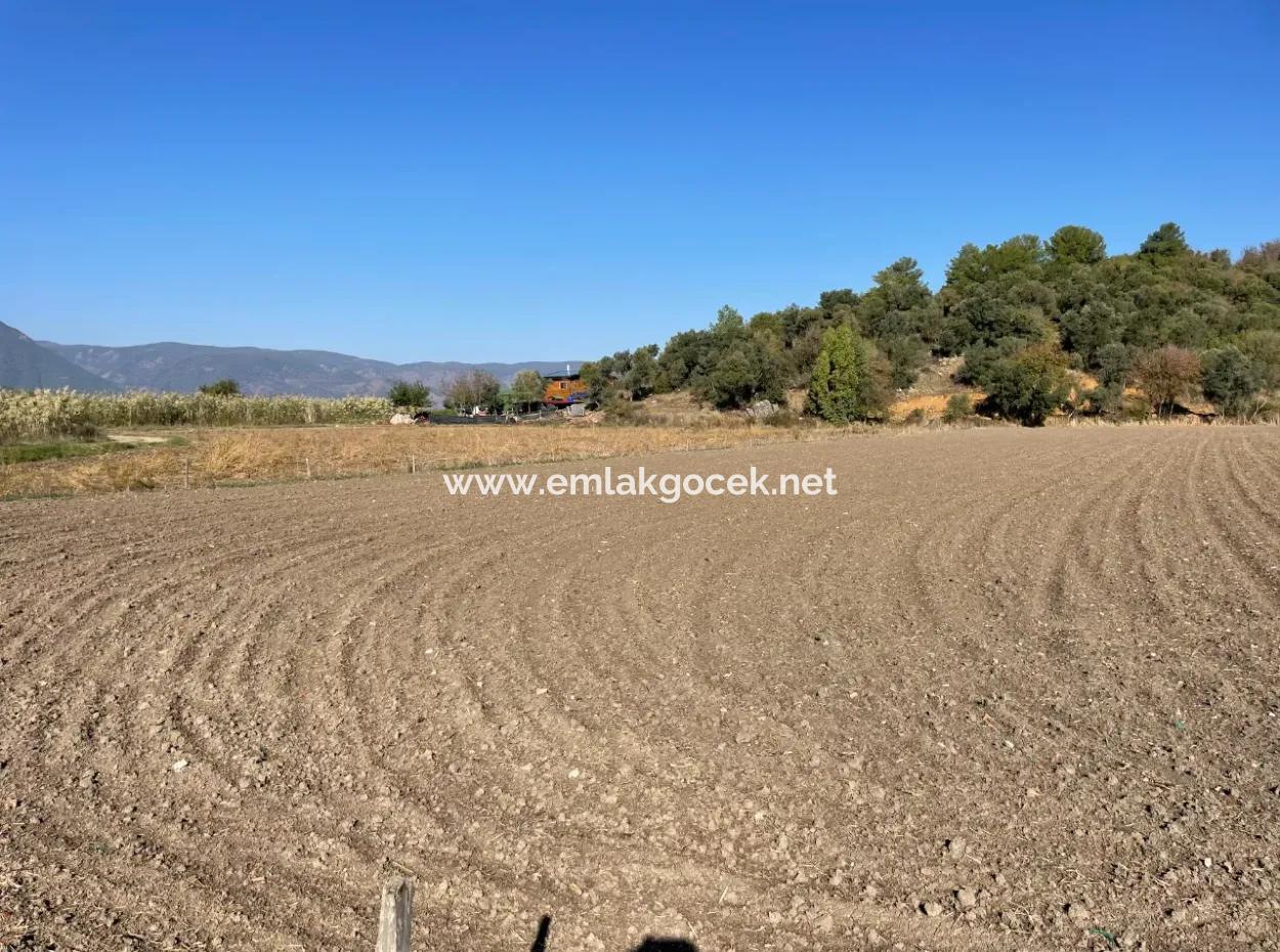 Eskiköyde Dalyan Yakın 6254M2 Satılık Tarla