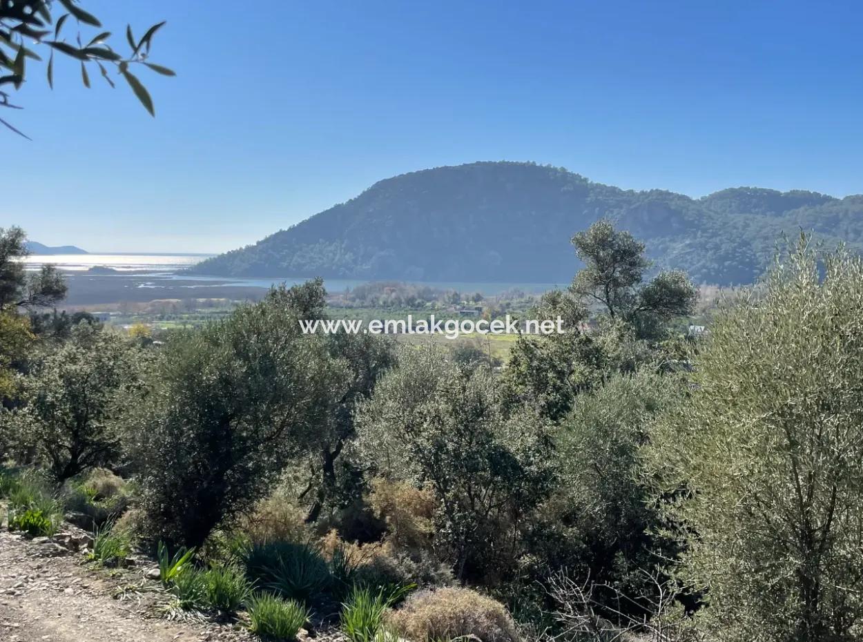 Çandır'da Deniz Ve Göl Manzaralı 950M2 Satılık 2B Tarlası