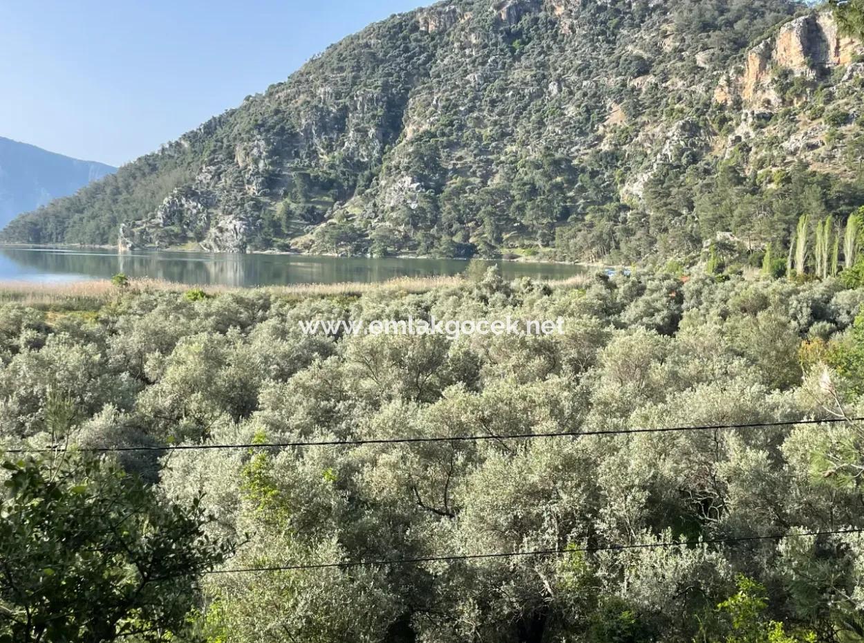 Çandır Göl Manzaralı Satılık 1,136M2 Tarla Arsa