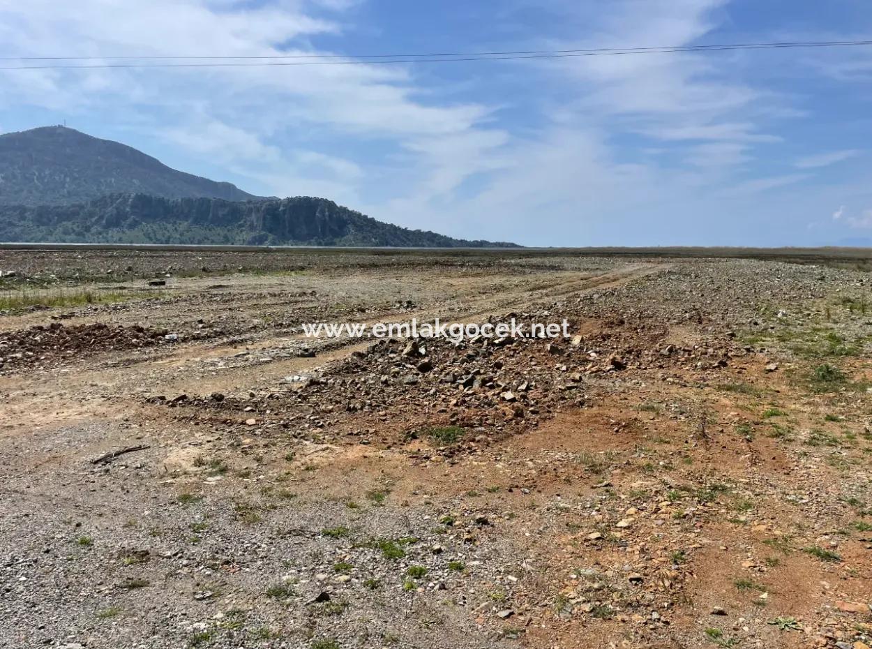 Dalyan İztuzu Plaj Yoluna Sıfır 19,600M2 Satılık Tarla Arazi
