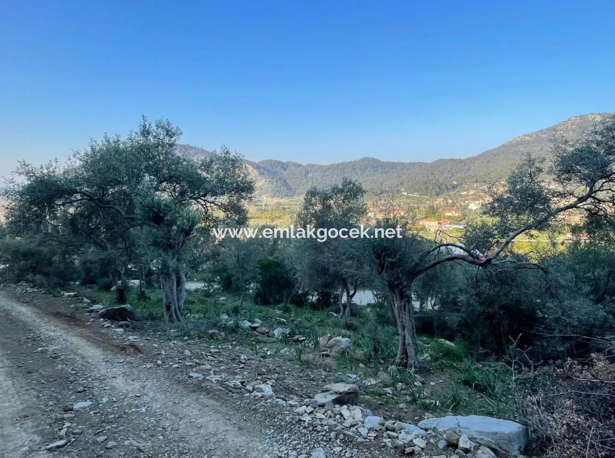 Çandır Göl Deniz Manzaralı 2,806M2 2B Satılık Tarla