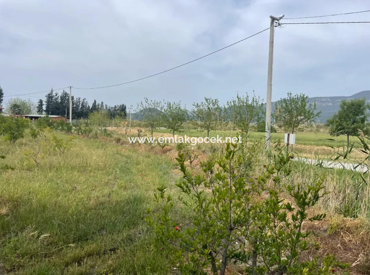 Dalyan'da 6500M2 Satılık Tarla
