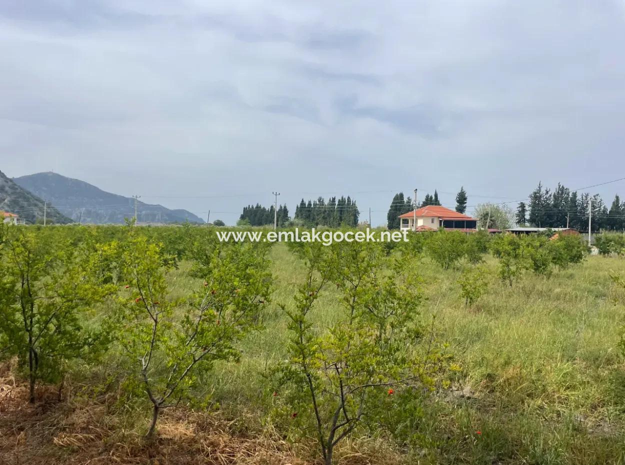Dalyan'da 6500M2 Satılık Tarla