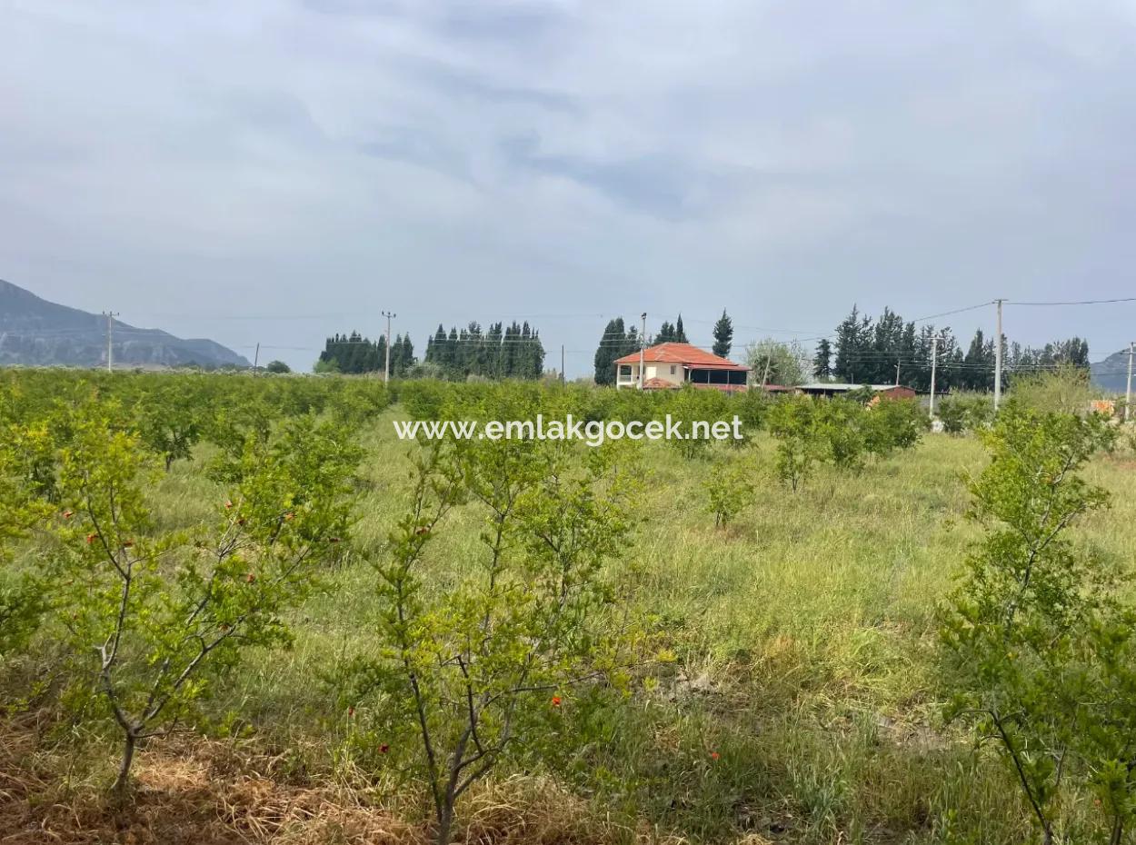 Dalyan'da 6500M2 Satılık Tarla