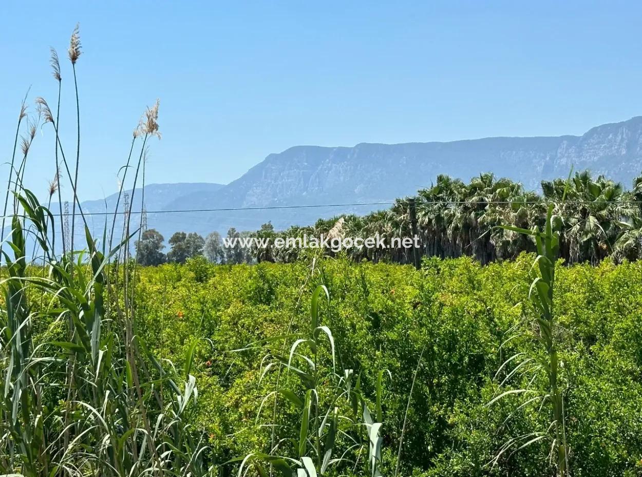 Akyaka Akçapınar'da Yola Sıfır 13,500M2 Satılık  Tarla