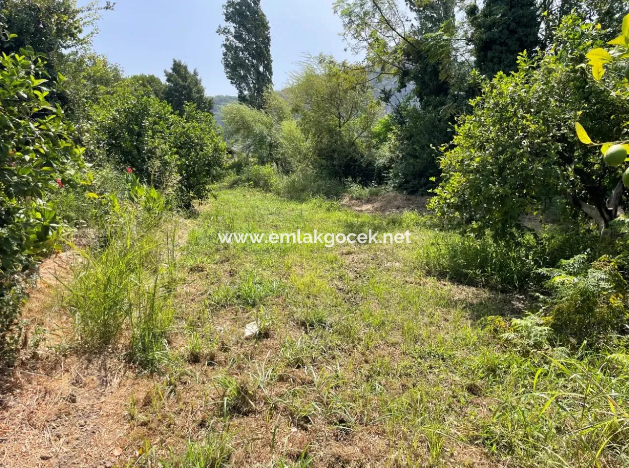 Okçular'da Köy Yerleşik Alanı İçerisinde 10.000M2 Satılık Arazi