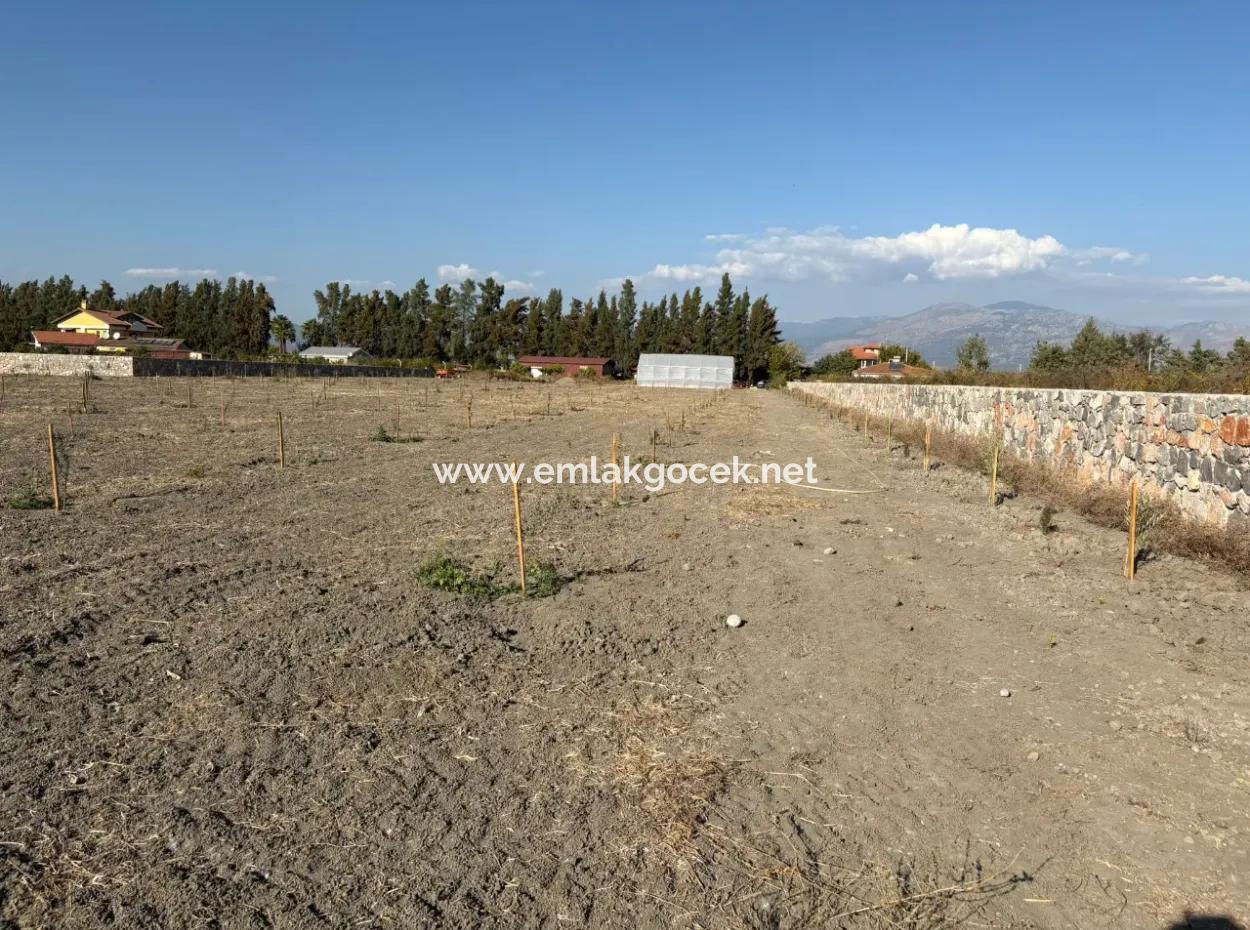 Eskiköy'de 19.663M2 Çiftlik Arazisi Ve Ev Satılıktır