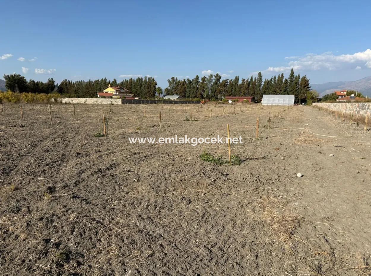 Eskiköy'de 19.663M2 Çiftlik Arazisi Ve Ev Satılıktır