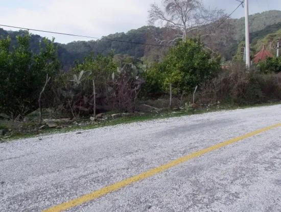 Çandırda Satılık Arsa Köyceğiz 10629M2 Satılık Arsa