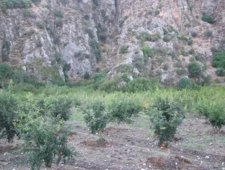Mergenlide Satılık Nar Bahçe Ortaca Mergenlide Satılık Arsa