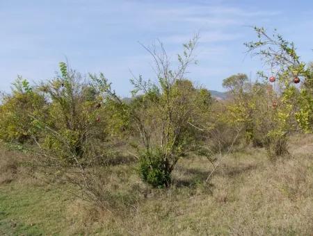 Güzelyurt Satılık Arsa  Köy Yerleşik 6670M2 Satılık Arazi