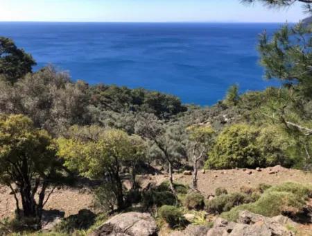 Çandır'da Deniz Manzaralı Satılık Arazi
