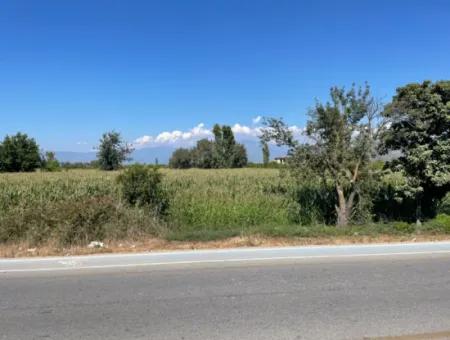 Dalyan Ana Yola Sıfır Satılık 8115M2 Ticari Satılık Arsa