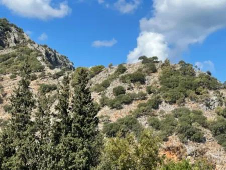 Dalyan 15 Odalı Satılık Apart Otel