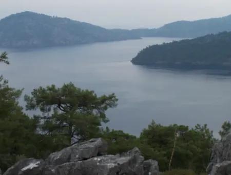 Sarsalada Deniz Manzaralı 4274M2 Arsa İçinde Satılık Taş Ev