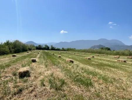 Dalyan'da İztuzu Yoluna Sıfır 6,500M2 Satılık Tarla