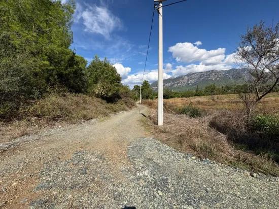 Köyceğiz Zeytinalanı'nda 10.500 M2 Satılık Tarla