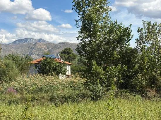 Köyceğiz Zeytinalanı'nda 10.500 M2 Satılık Tarla